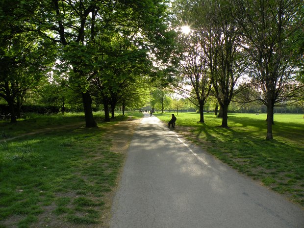 fin de journée sur Regent's Park